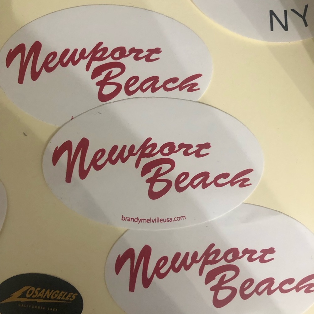 🌸🌸 3 for $25 | 3 Brandy Melville stickers